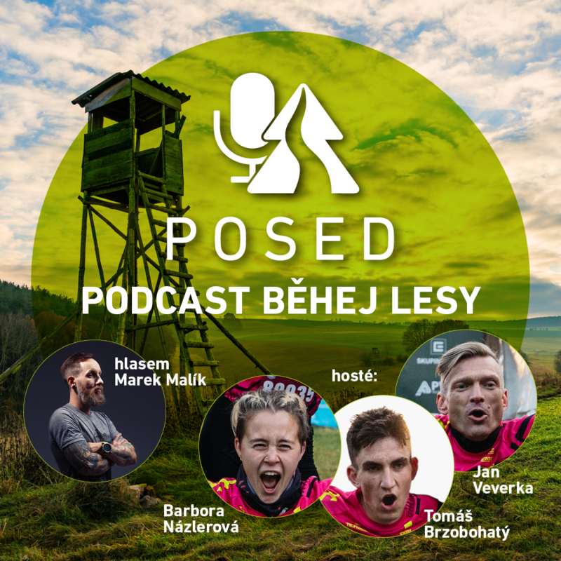 Obrázek epizody #28: Rohozec: Co na sebe prozradili vítězci Týmovky?