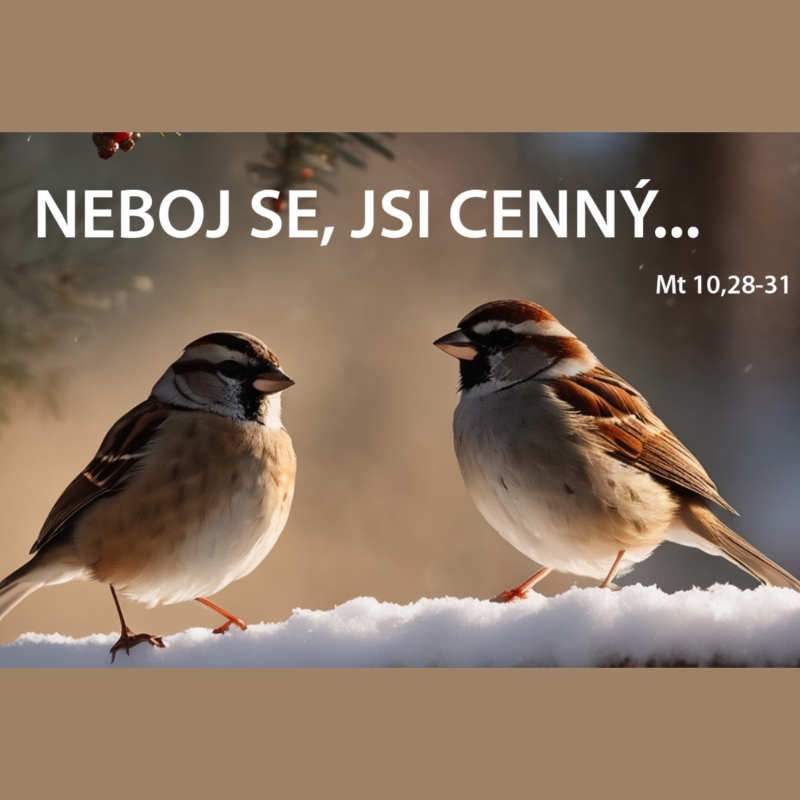 Obrázek epizody Neboj se, jsi cenný... - Jindřich Novák (21.1.2024)