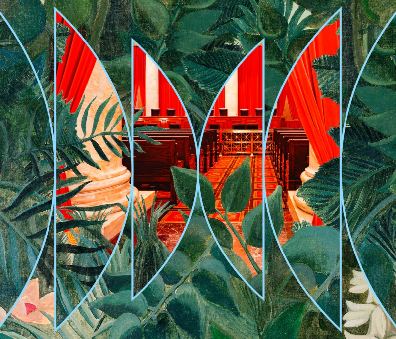 Obrázek epizody More Perfect: The Political Thicket