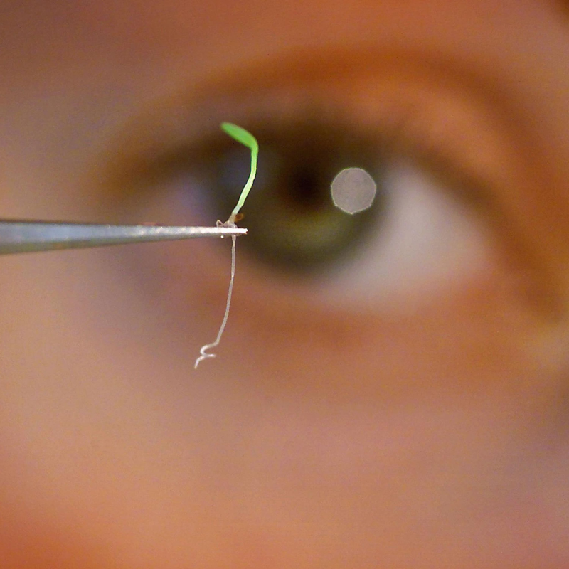 Obrázek epizody The seed bank storing the planet’s future