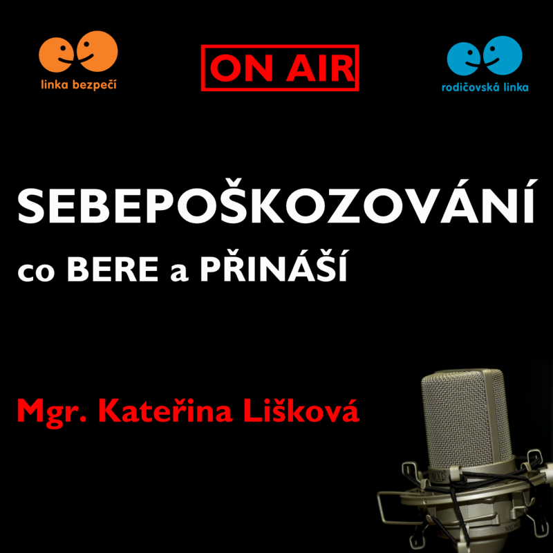 Obrázek epizody Sebepoškozování I. - co bere a přináší