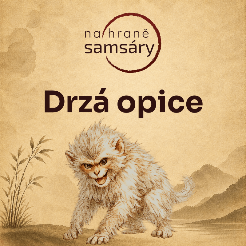 Obrázek epizody 10. Drzá opice
