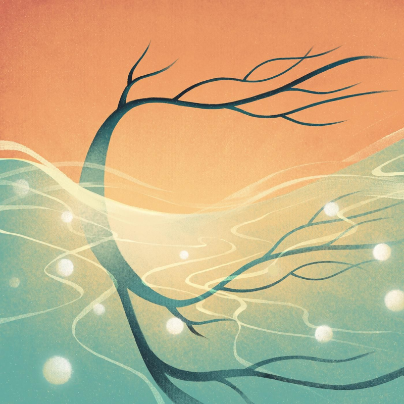 Obrázek epizody Gonads: X & Y