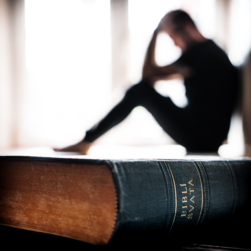 Obrázek epizody Queen - Bohemian Rhapsody