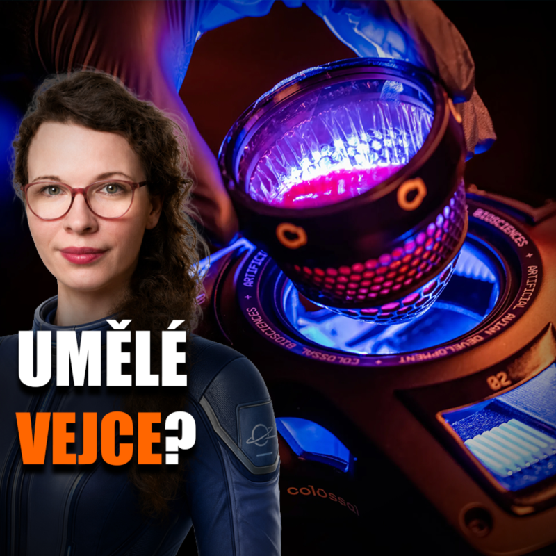 Obrázek epizody Colossal Biosciences (možná) vyrobil umělé vejce | Vědátornews