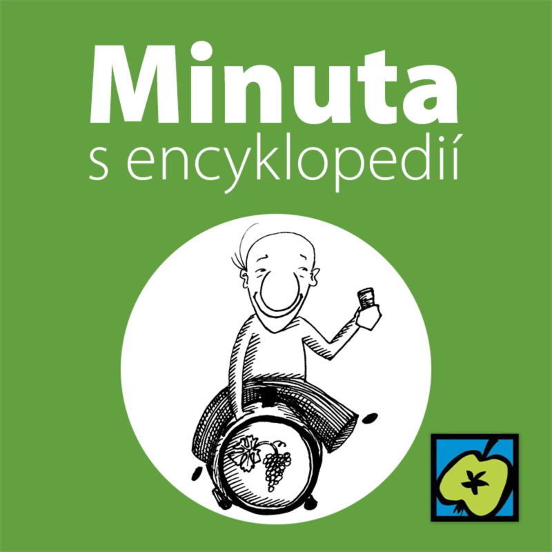 Obrázek epizody Sud