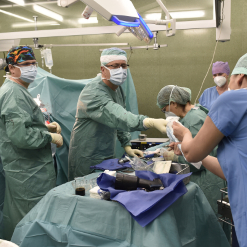 Obrázek epizody Návrat k běžnému provozu v nemocnicích (zdroj: CNN Prima NEWS)