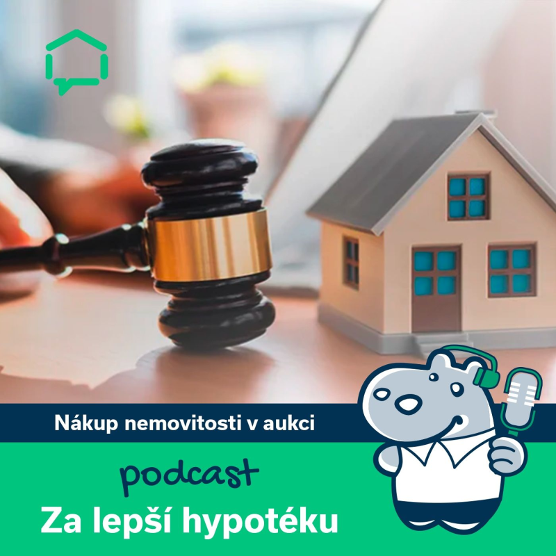 Obrázek epizody 113. Nákup nemovitosti v aukci