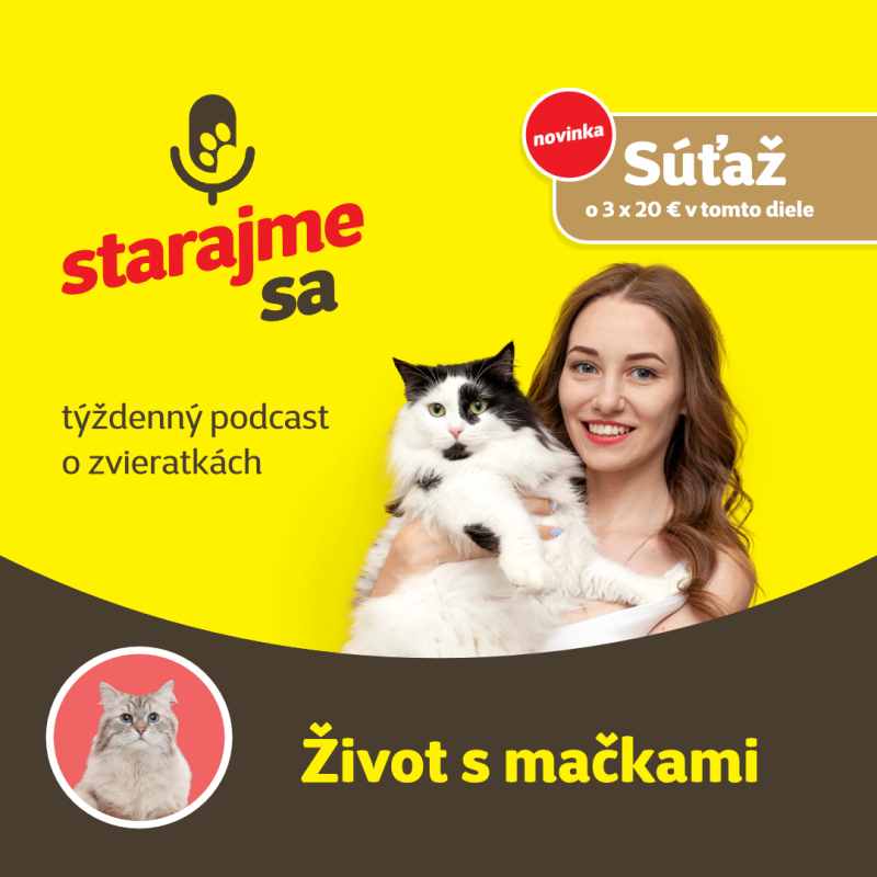 Obrázek epizody Mačky: Život s mačkami