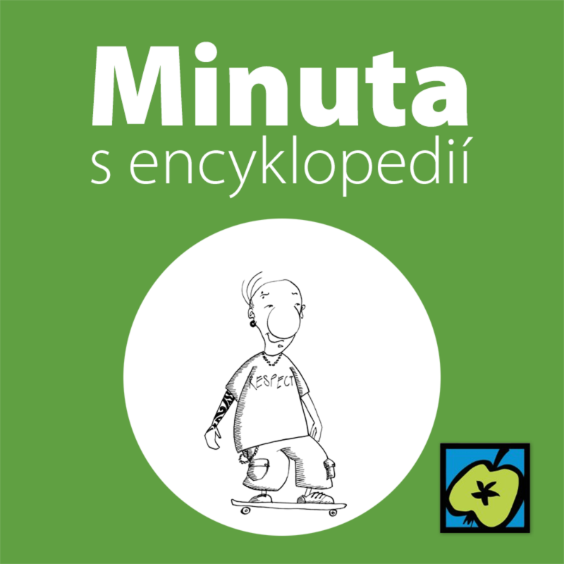 Obrázek epizody Skateboard