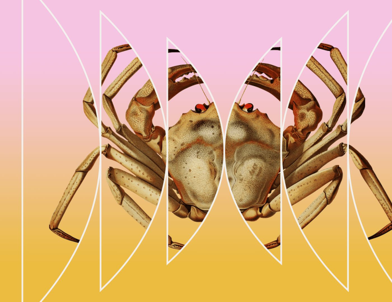 Obrázek epizody Crabs All the Way Down