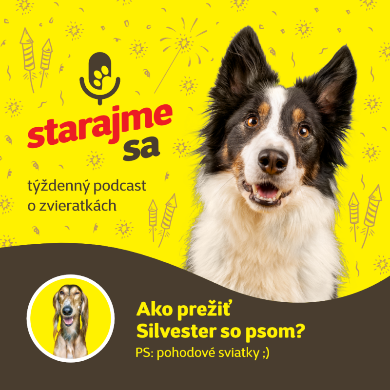 Obrázek epizody Psy: Ako prežiť Silvester so psom? PS: pohodové sviatky ;)