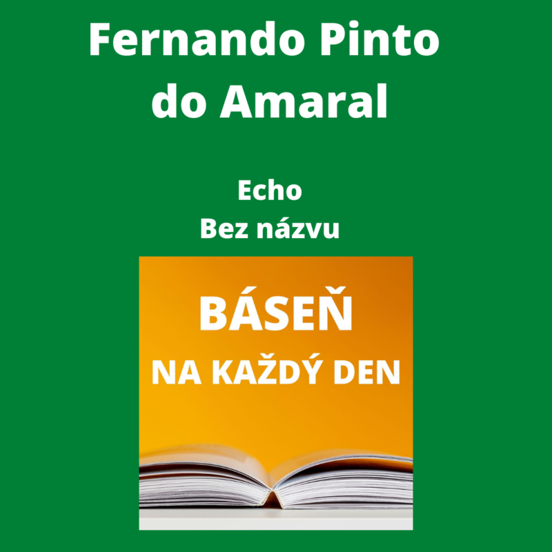 Obrázek epizody Fernando Pinto do Amaral - Echo + Bez názvu