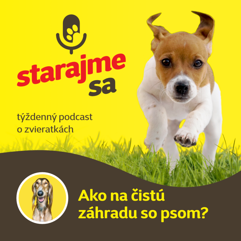 Obrázek epizody Psy: Ako na čistú záhradu so psom?