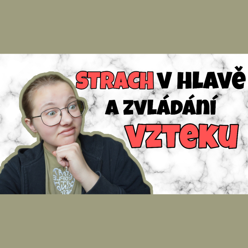 Obrázek epizody 33. TÝDEN - Strach v hlavě a zvládání vzteku