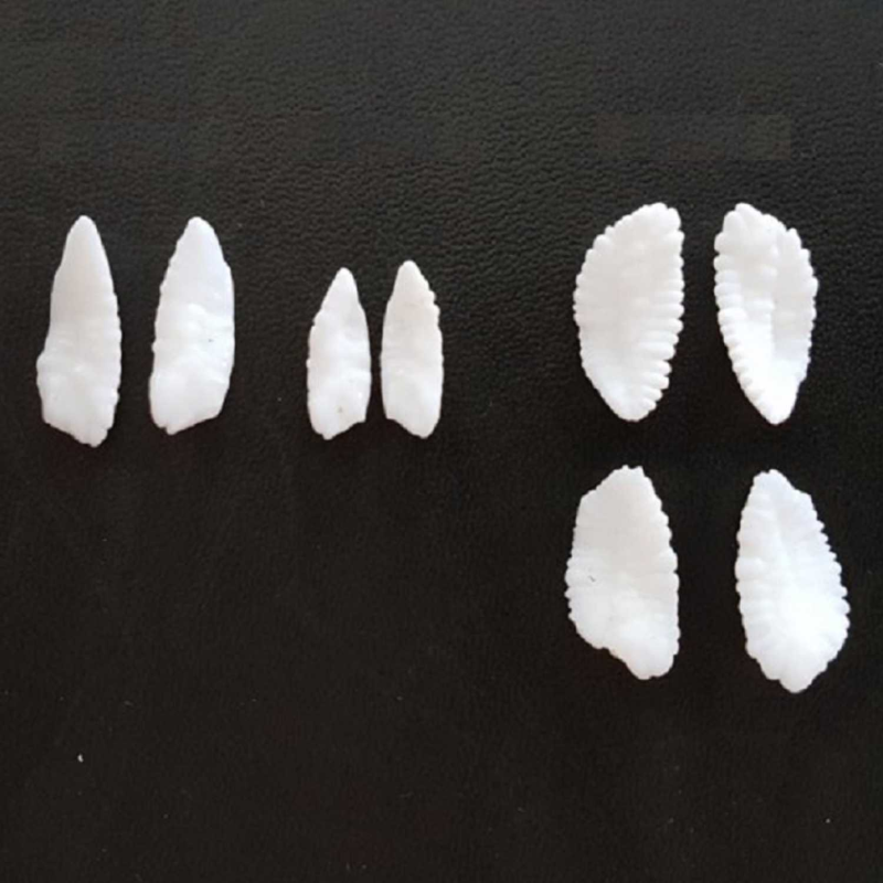 Obrázek epizody Ryby v Norsku, aneb co jsou to otolity a k čemu rybám slouží