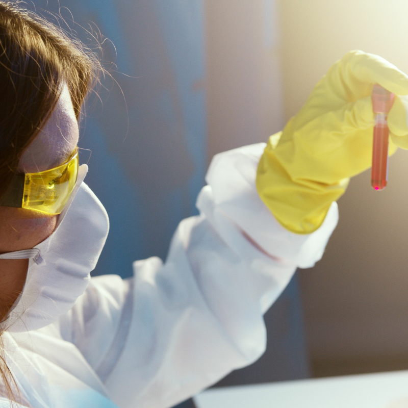 Obrázek epizody #22: Listopadová euforie na trzích