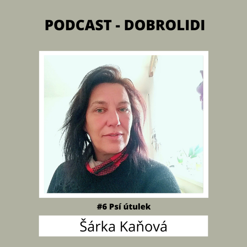 Obrázek epizody #6 Psí útulek