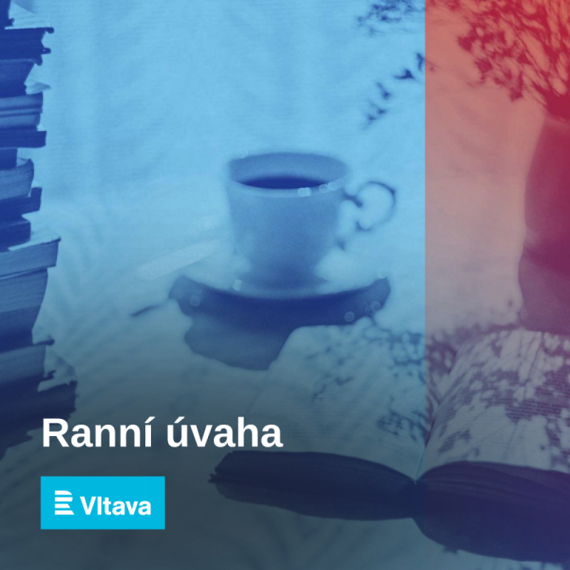 Obrázek epizody Petr Borkovec: Flora v listopadu