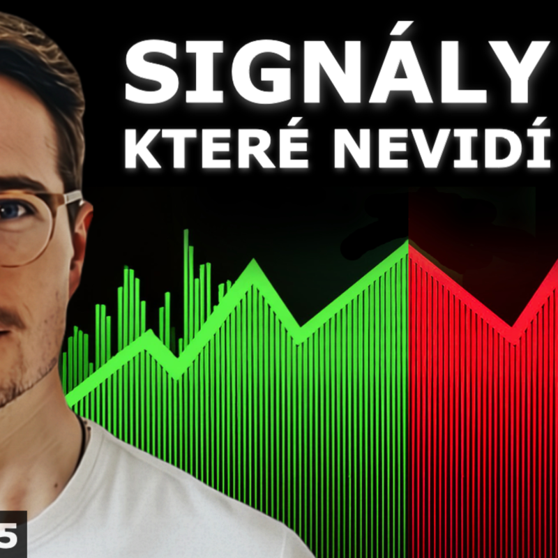 Obrázek epizody TICHO PŘED BOUŘÍ - Velcí prodávají, retail pákuje, spotřebitel nemá peníze, Burzovní výhled 35/24