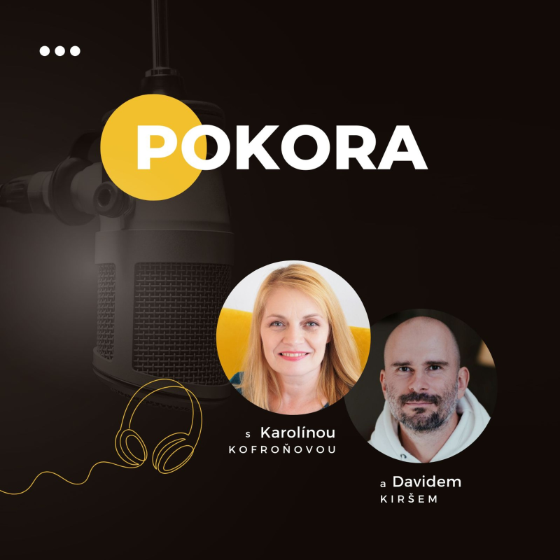 Obrázek epizody POKORA | Jak přijímání místo odporu mění náš život #17