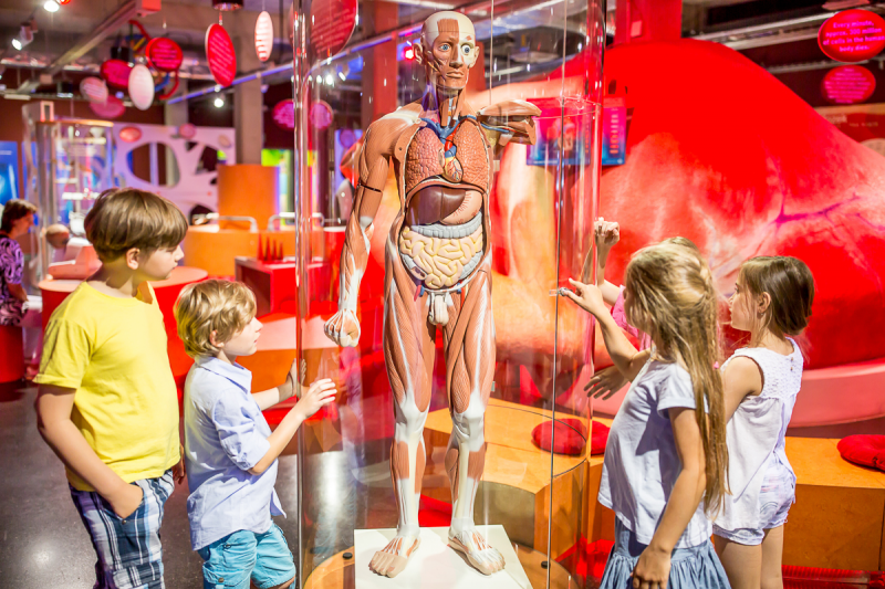 Obrázek epizody Petr Desenský: Návštěvníci do iQLANDIE jezdí, jsou milí a je vidět, že dlouho nikde nebyli