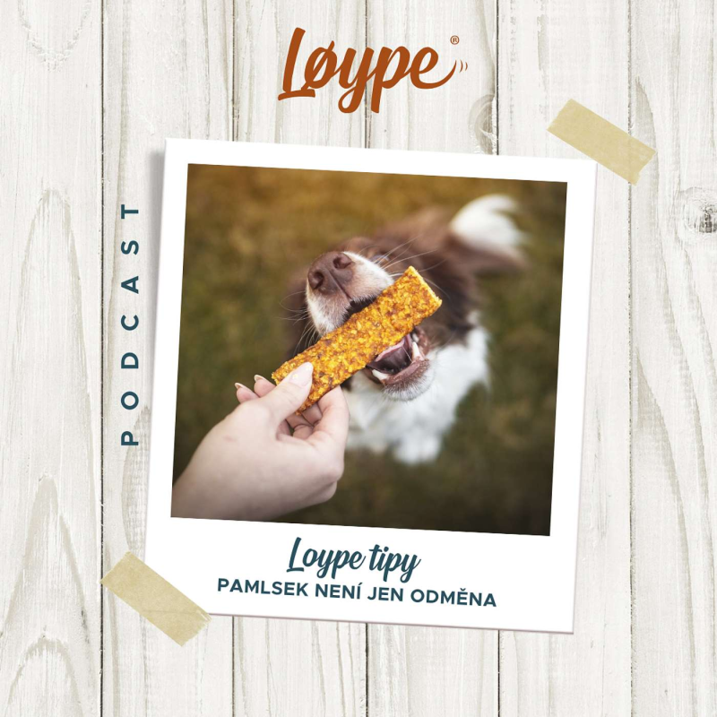 Obrázek epizody 125 | Pamlsek není jen odměna | Loype tipy