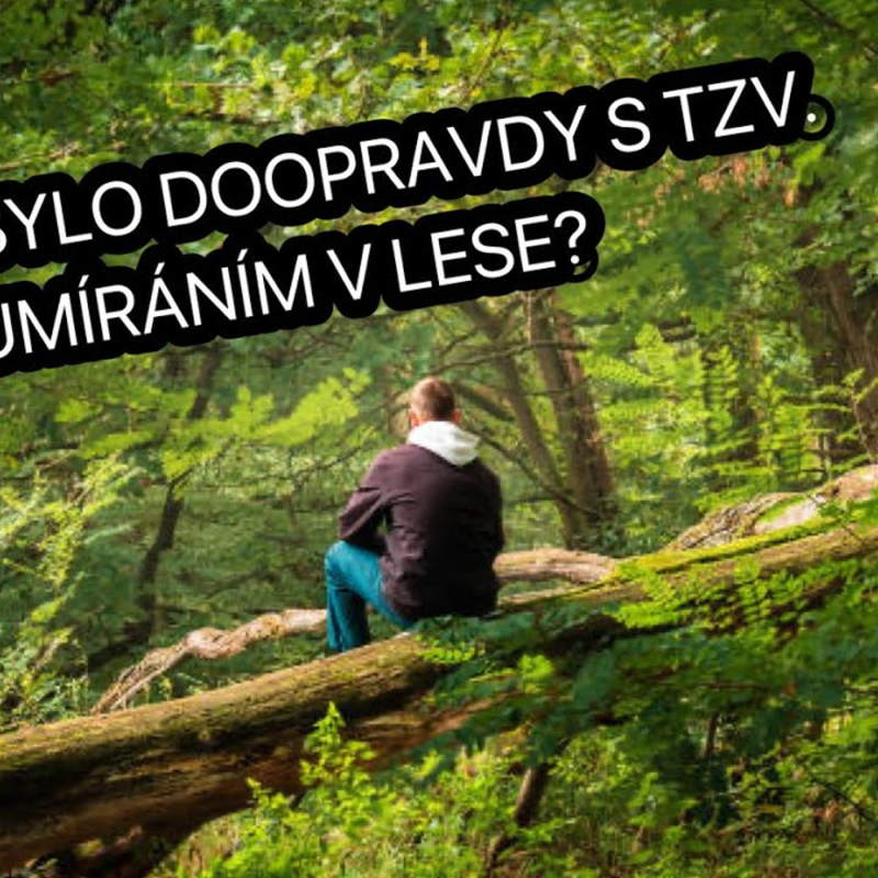 Obrázek epizody Trhliny v oficiálním příběhu sekty Immanuelitů