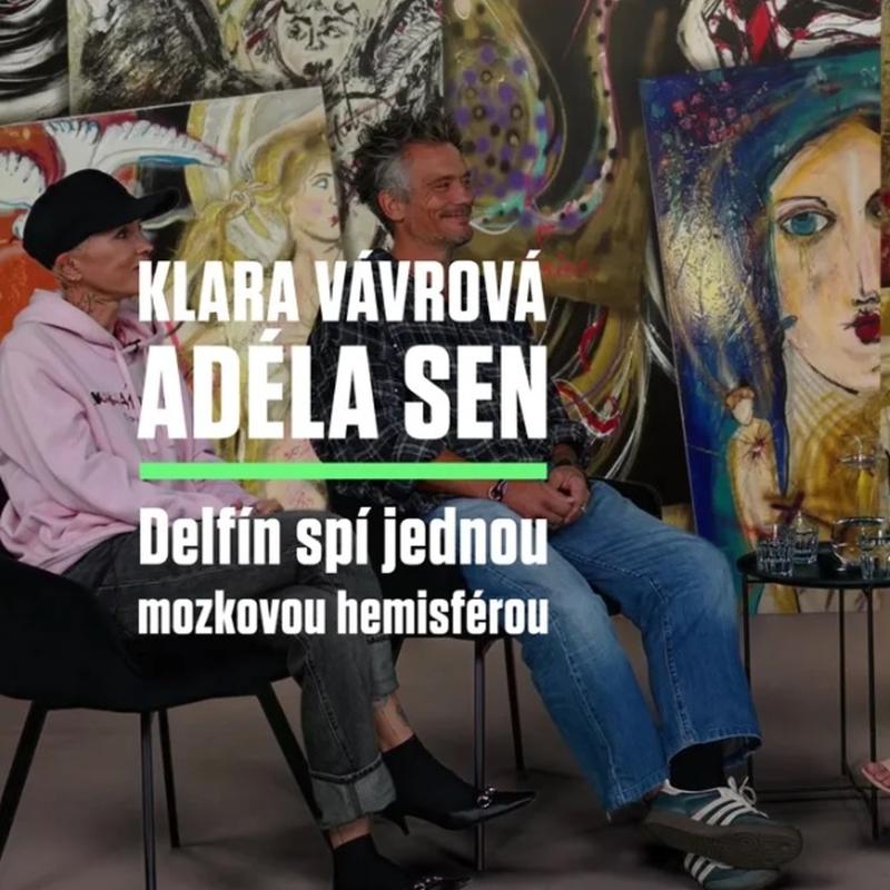 Obrázek epizody Klára Vávrová a Adéla Sen představují retreat s divokými delfíny a práci s tělem
