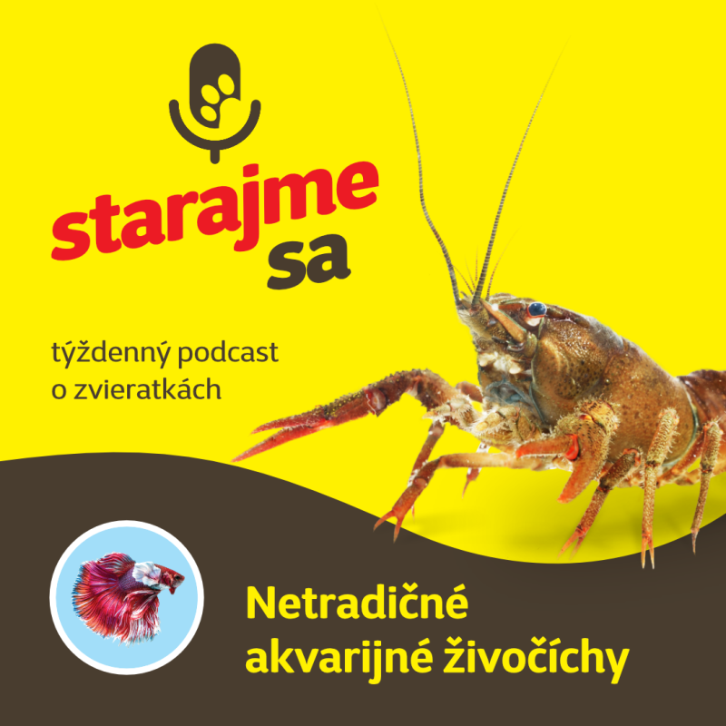 Obrázek epizody Akvaristika: Netradičné akvarijné živočíchy