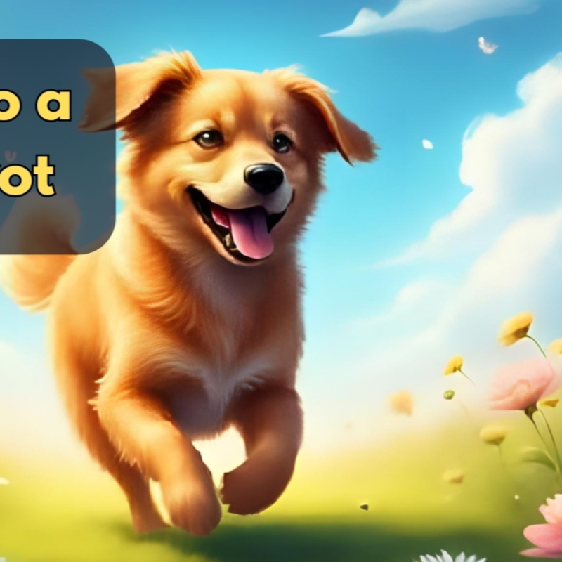 Obrázek epizody 🐶 Pes Gufero a hezký život ✨ Pohádka na přání ⭐️ Klidná audiopohádka pro děti na dobrou noc
