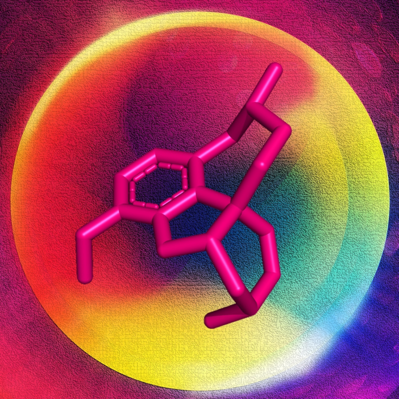 Obrázek epizody Finanční poradci, Lukášova bulka a Karlovy ledviny