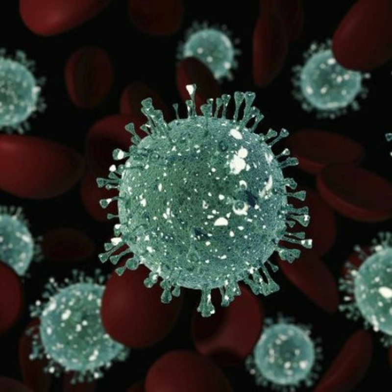 Obrázek epizody Část záznamu z neveřejné schůze sněmovního zdravotnického výboru o šíření koronaviru