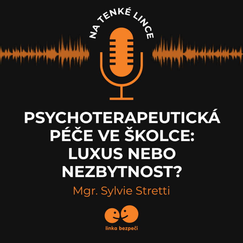 Obrázek epizody Psychoterapeutická péče ve školce: Luxus nebo nezbytnost
