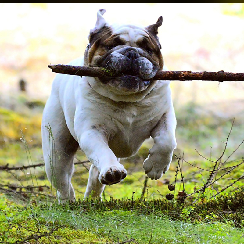 Obrázek epizody BONUS: Jak pohybem zlepšovat emoce a psychiku (2. díl)