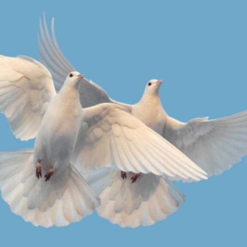 Obrázek epizody Bohu patří celý náš život