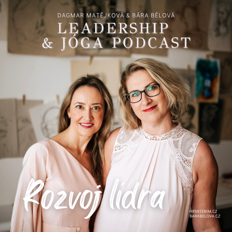 Obrázek epizody Rozvoj lídra, kterému se moc rozvíjet nechce