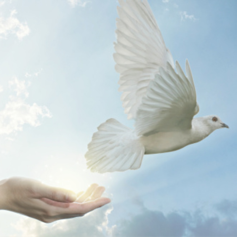 Obrázek epizody Skutečný půst - rozvázat nespravedlivá pouta