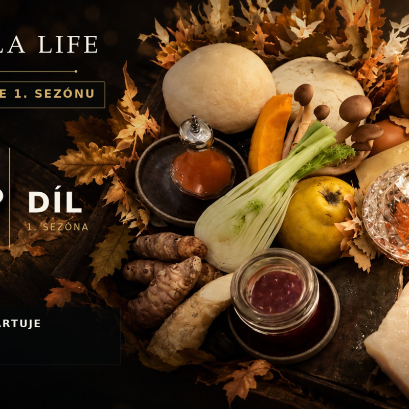 Obrázek epizody Než se vrátím: připomeňte si 10. díl Ornella LIFE