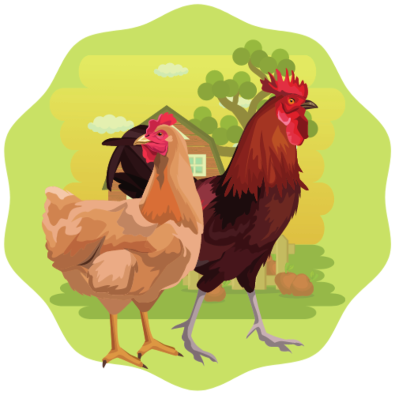 Obrázek epizody O kohoutkovi a slepičce