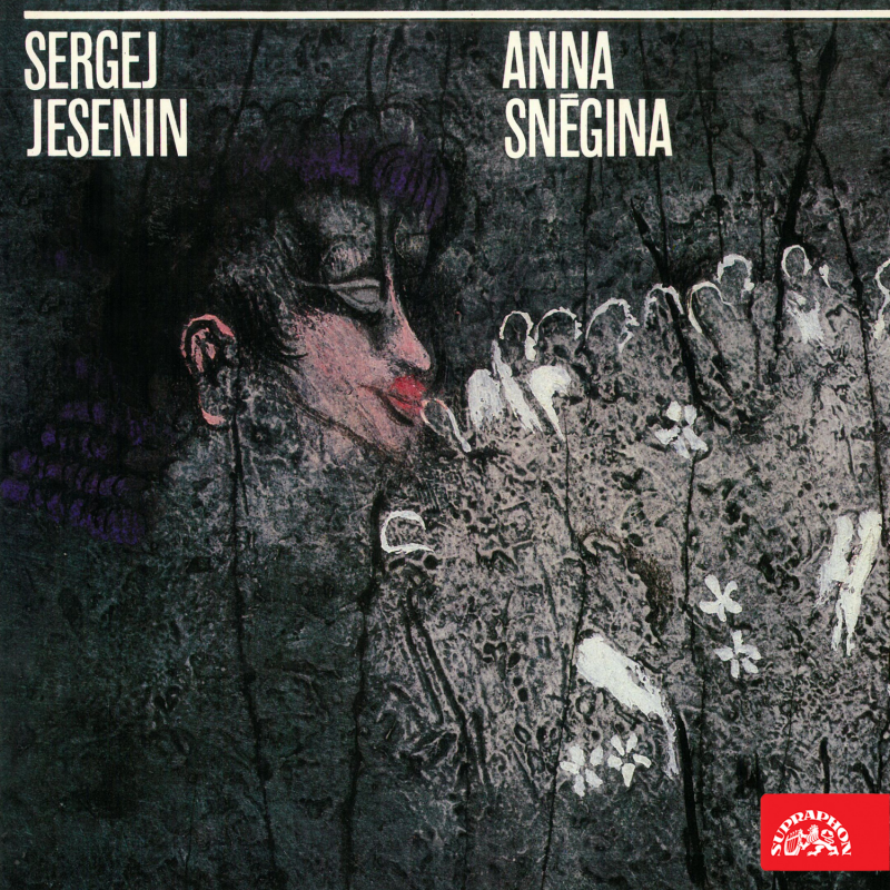 Obrázek epizody Anna Sněgina