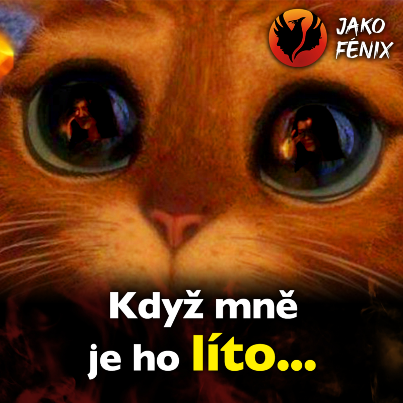 Obrázek epizody Když mně je ho líto...