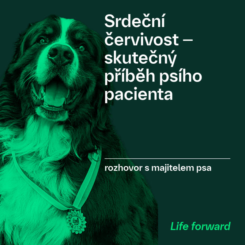 Obrázek epizody Srdeční červivost | Rozhovor s majitelem psa