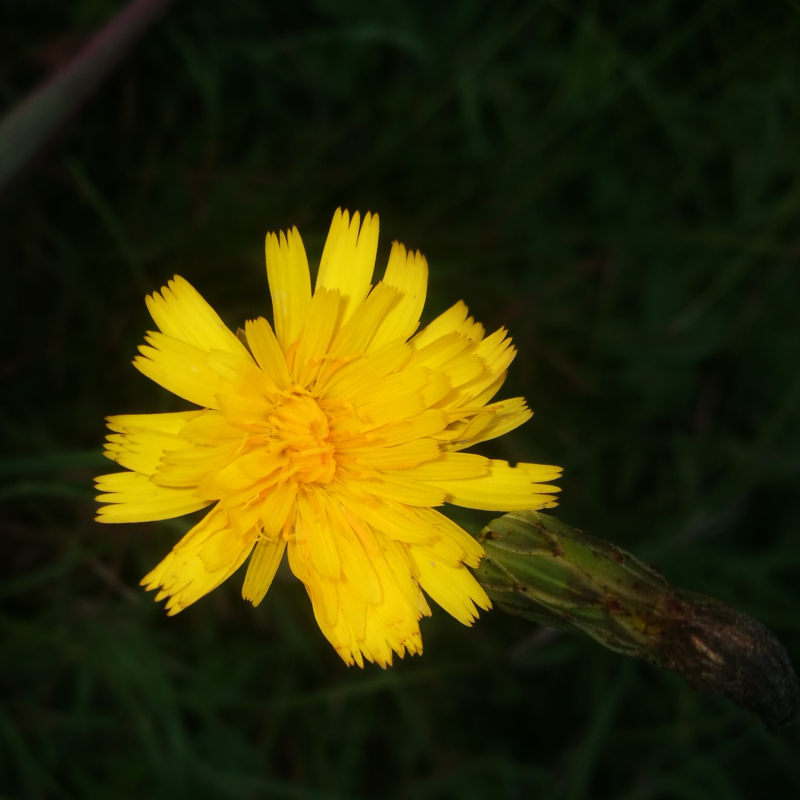 Obrázek epizody 03:: Etické a emocionální. Dívce z instagramu.