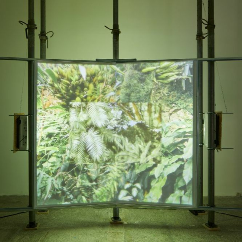 Obrázek epizody etc. galerie: Ve světle řízených událostí (Tereza Darmovzalova)