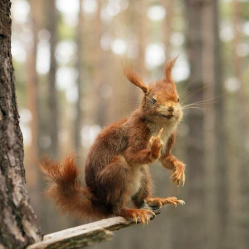 Obrázek epizody Artwall Gallery: Catastrophe (Jaap Scheeren)EN