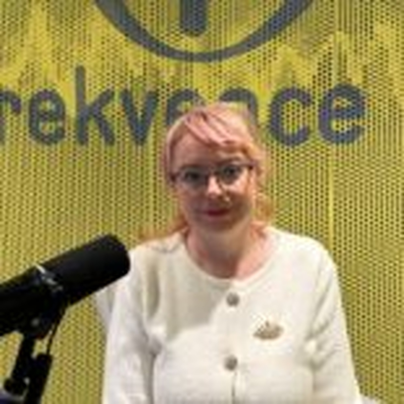 Obrázek epizody Ilona Švihlíková. Jak si vláda povede, uvidíme až u dalšího rozpočtu