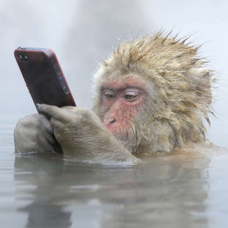 Obrázek epizody AI, AI, AI! Naturální primitiv ve světě moderní technologie a umělé inteligence