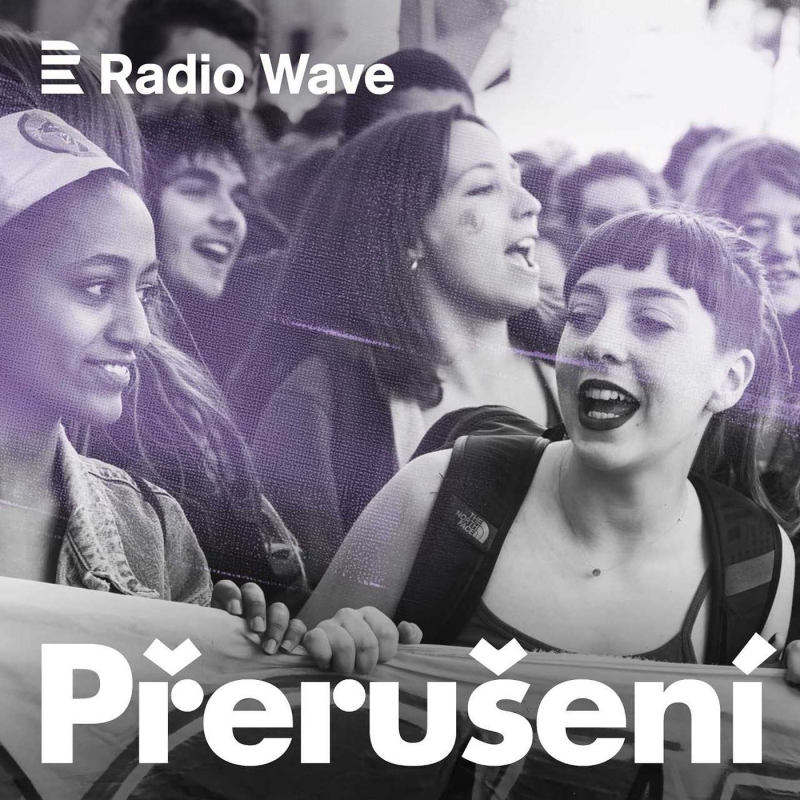 Obrázek epizody Přerušení tady a teď: Kdo rozhoduje o interrupcích u nás a v okolních evropských zemích?