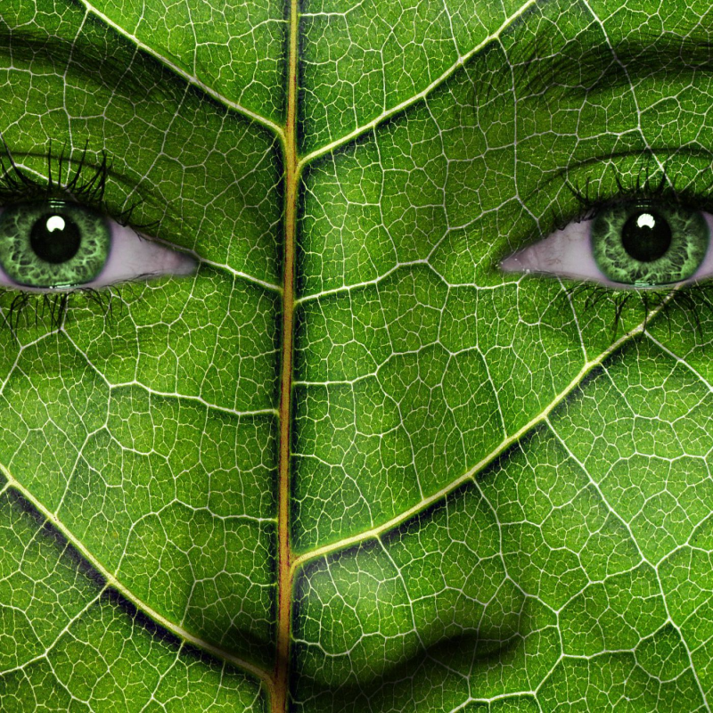 Obrázek epizody Obrovské požáry v přírodě